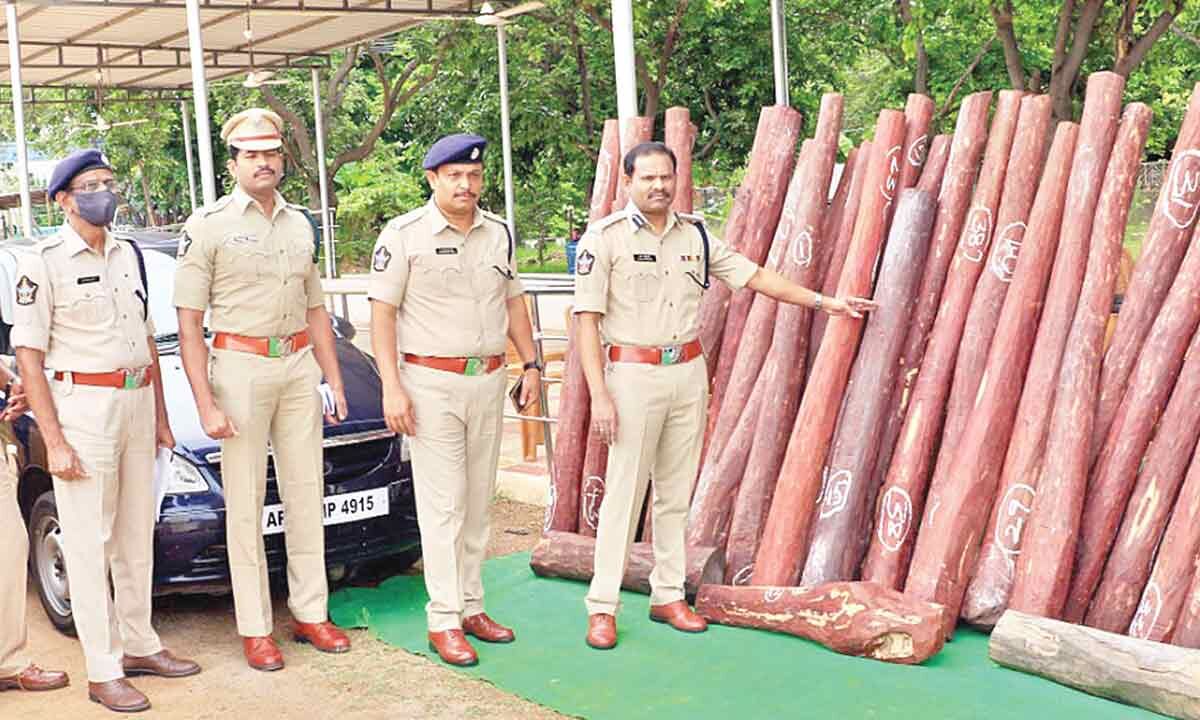 Tirupati Five Held Red Sanders Logs Worth Rs L Seized