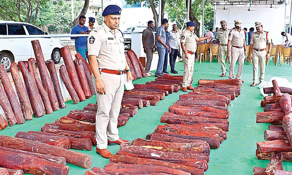 Naidupet Police Seize Red Sanders Worth Rs 4 31 Cr