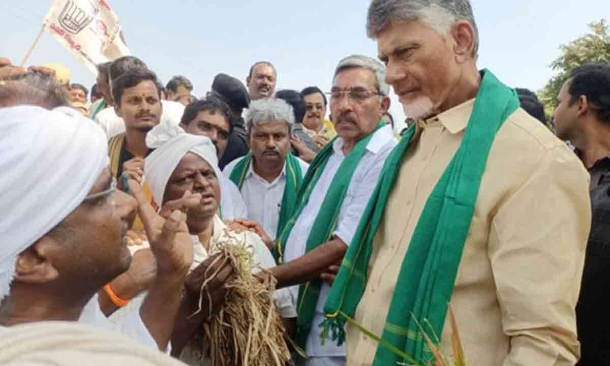 Damage Due To Cyclone Chandrababu Naidu Flays Govt For Failure To Take