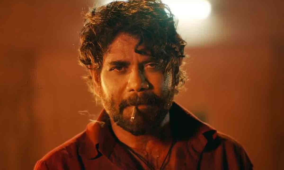 Naa Saami Ranga Teaser Nagarjuna At His Best