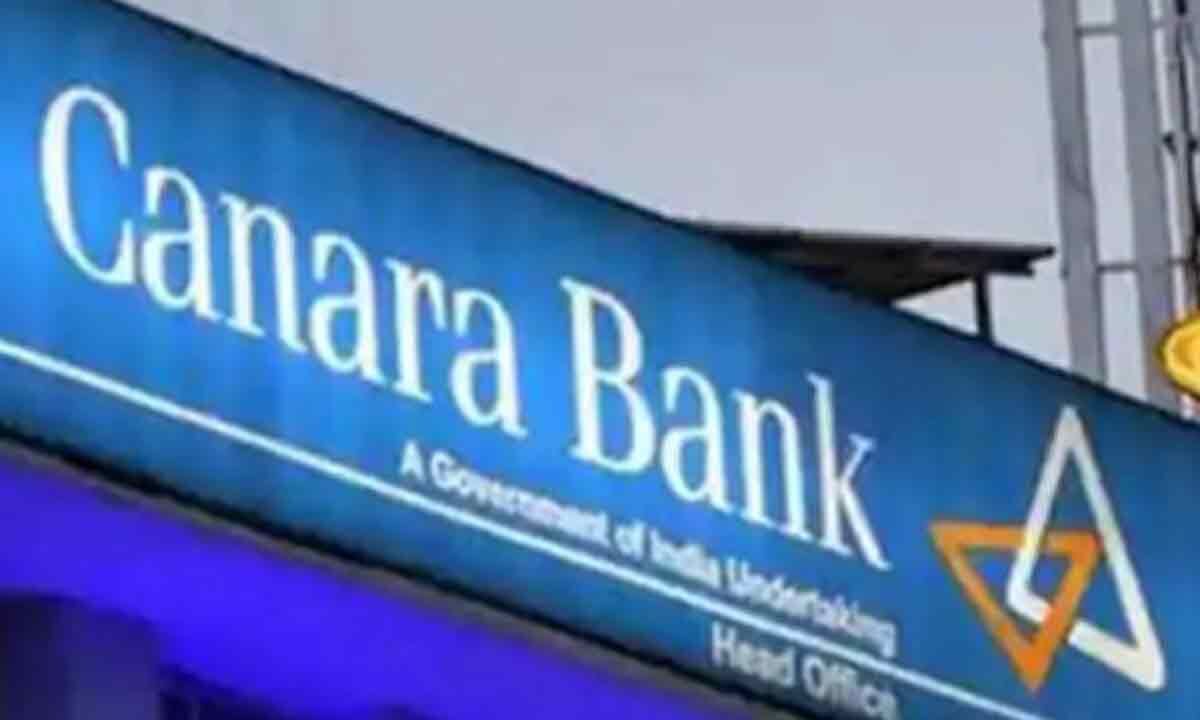 Canara Bank Clocks Per Cent Jump In Q Net Profit At Rs Crore