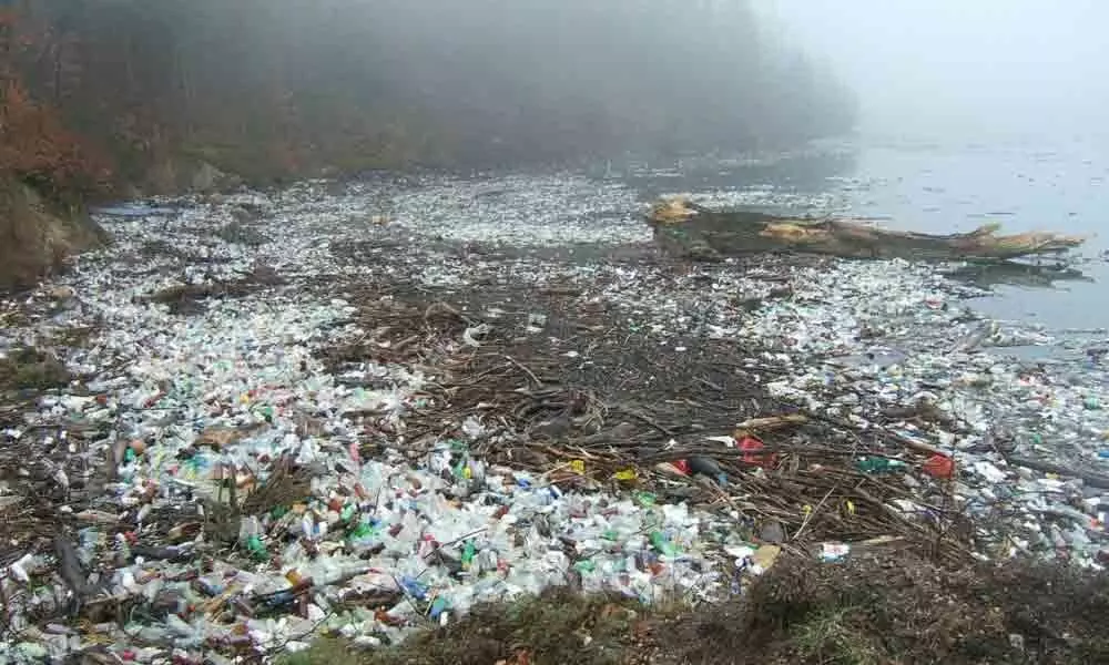 Microplastics harming our drinking water: Study Microplastics harming our drinking water: Study