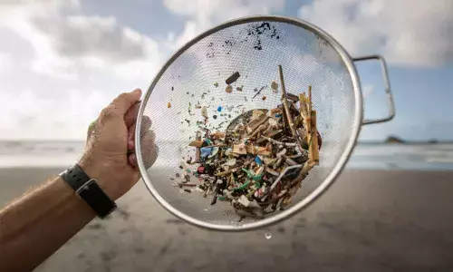 Nano and microplastics are harming our drinking water: Research