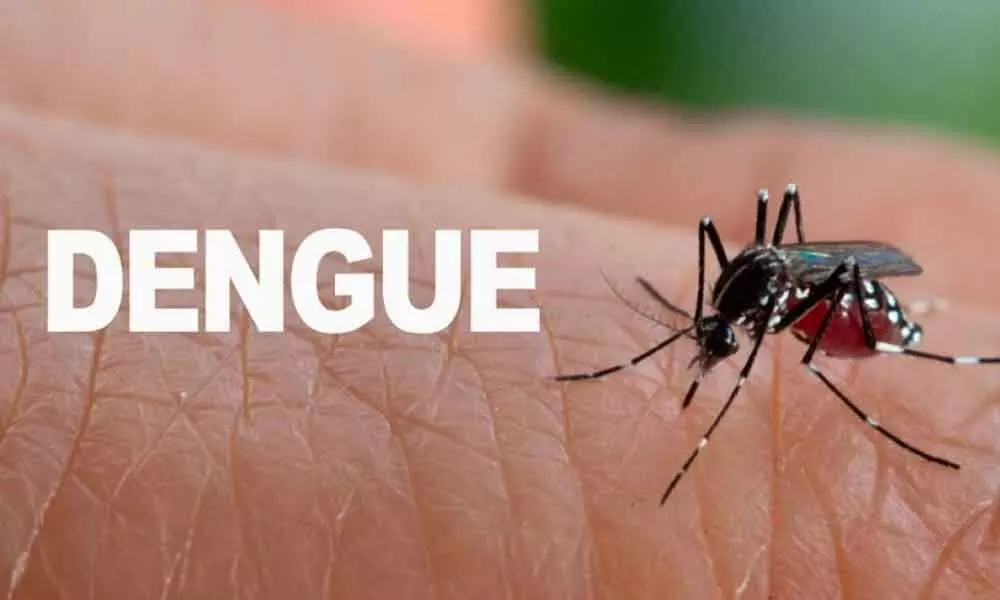 Dengue -The killer mosquito fever on rise