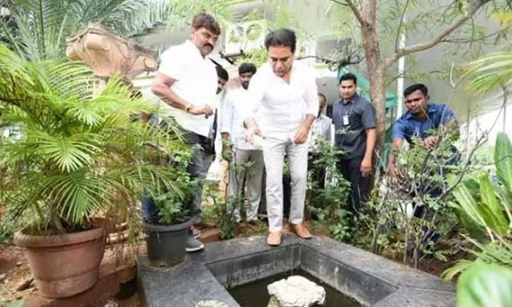 KTR holds special sanitation drive in Hyderabad