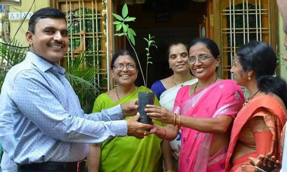 Plant 6 saplings in your house, Collector Dr A Sharath tells people
