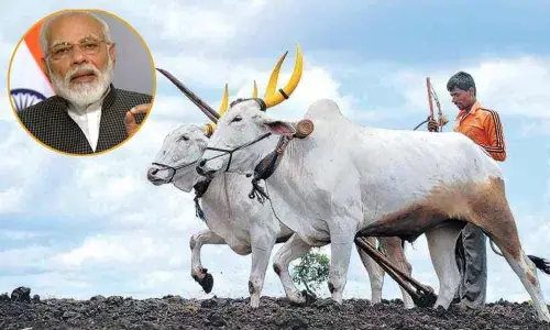 PM Modi to launch farmers pension scheme tomorrow