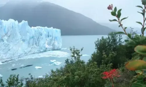 Report: Healthcare sector globally has a major contribution to climate crisis