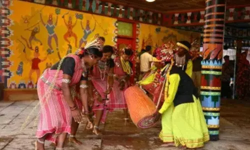 Trials and tribulations of tiger tribe