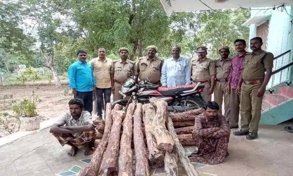 Spurt in red sanders smuggling in Tirupati