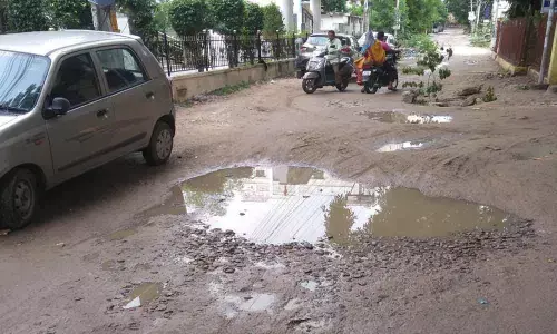 Plea to fix potholes