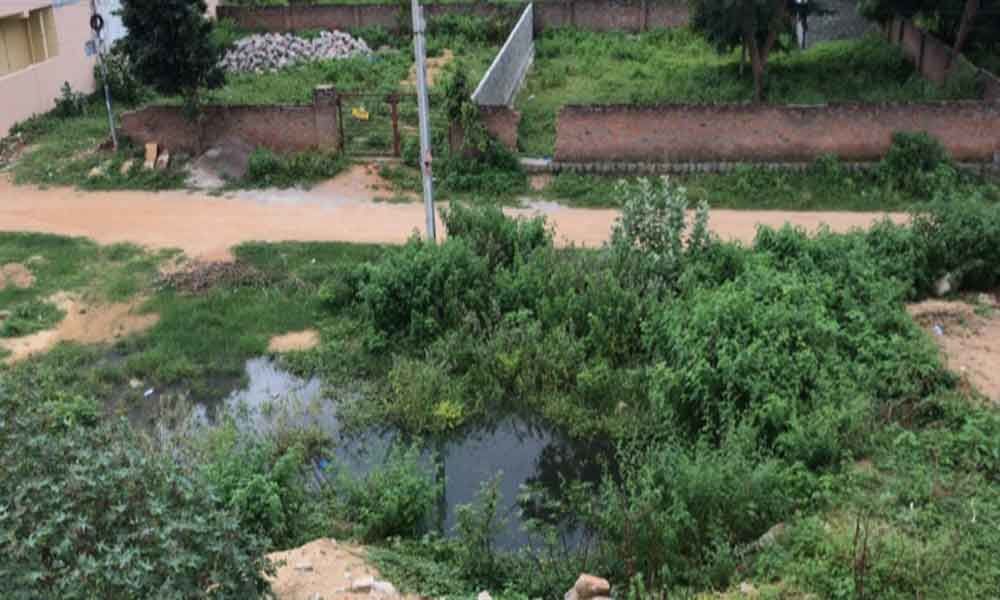 Water Logging Examples