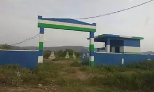 MP Kesineni Nani fires on painting graveyard with YCP colours