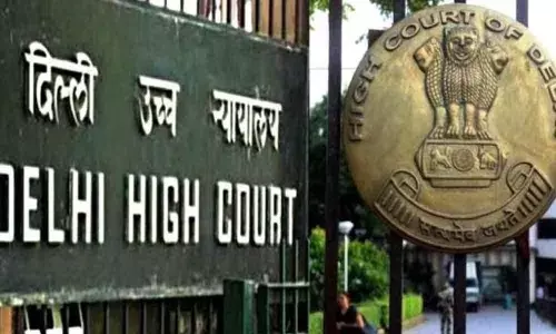 Delhi HC dismisses PIL seeking fixing of dates, timings for kite flying