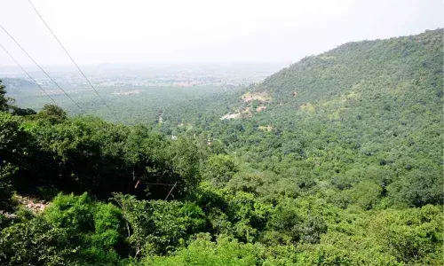 Location of uranium spots before drilling