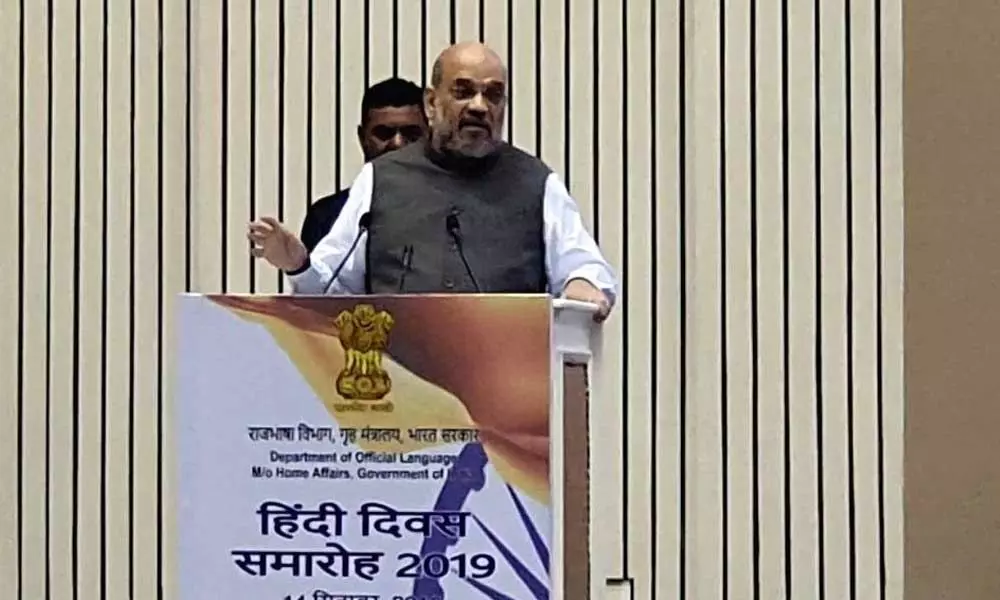 Govt to take Hindi to new heights by 2024: Amit Shah