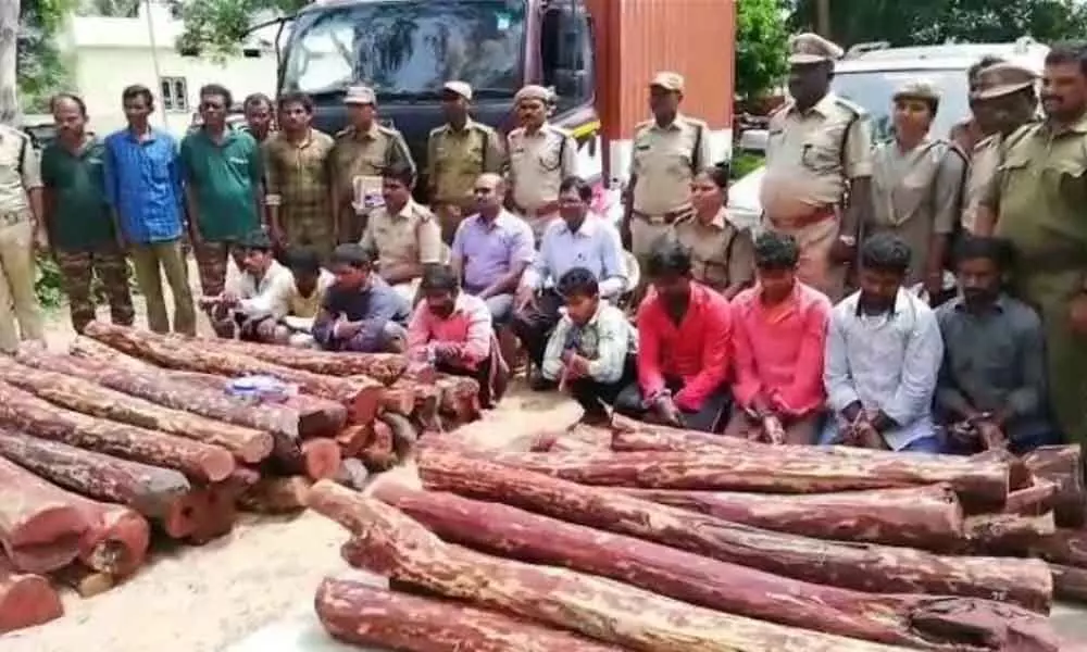 8 Tamil Nadu wood cutters arrested Rs 60 lakhs worth red sander logs vehicles seized