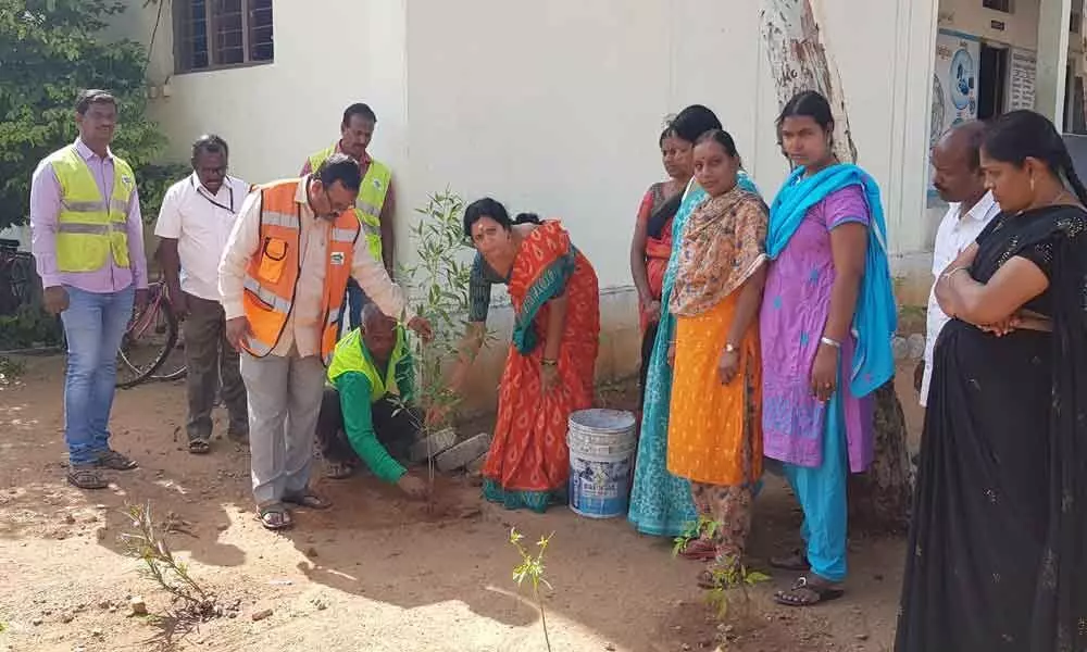 Corporator Lakshmi Prasanna plants saplings