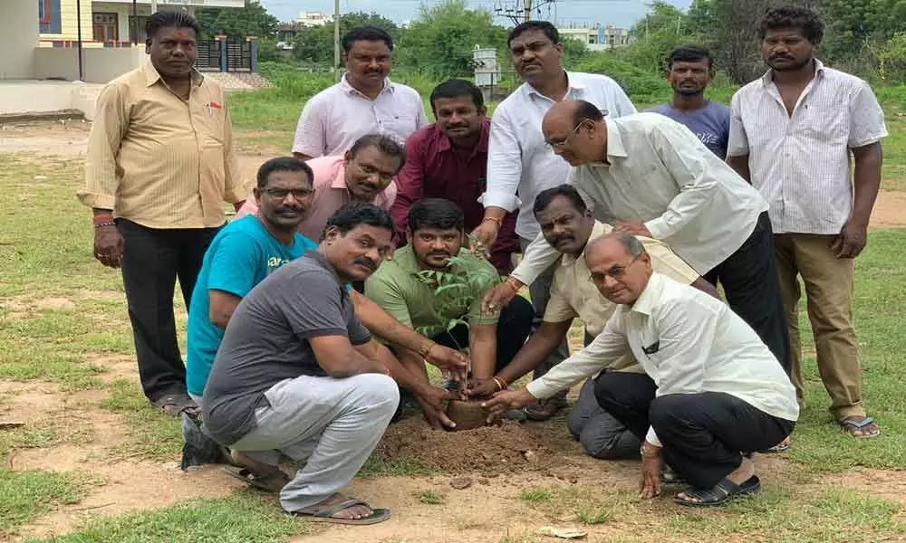 1,000 saplings planted in a day