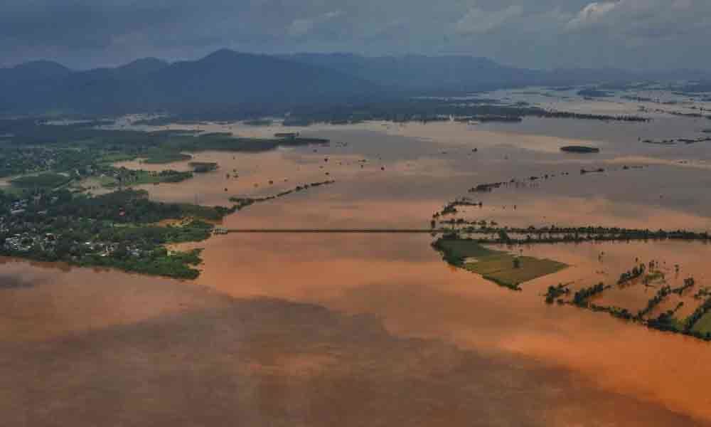 Farmers lose crops in 6,000 Ha in East Godavari