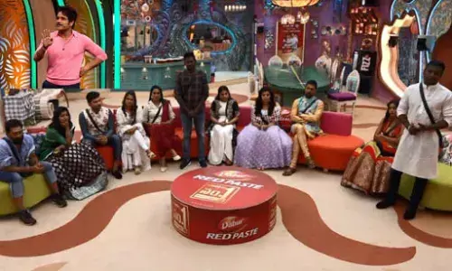 Bigg Boss Telugu Season 3: Episode 56 Highlights