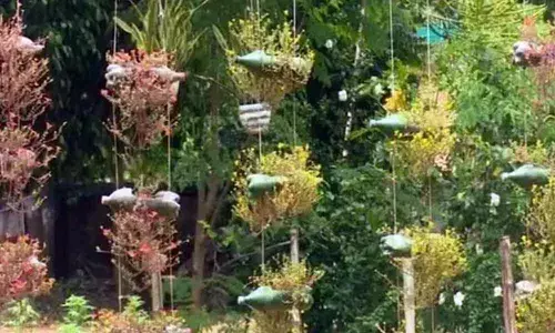 Bengal forest officer creates garden using plastic bottles, rubber tyres