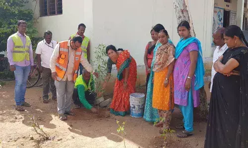Corporator Lakshmi Prasanna plants saplings