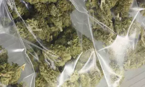 Two arrested for smuggling ganja