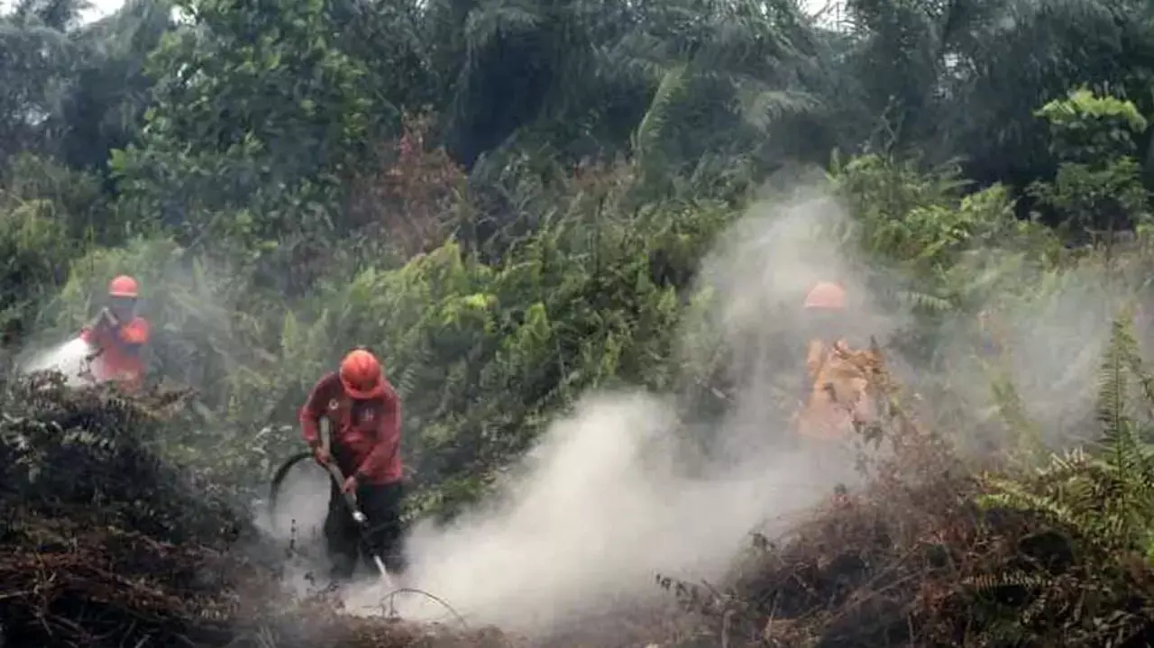 Indonesia arrests nearly 200 over raging forest fires