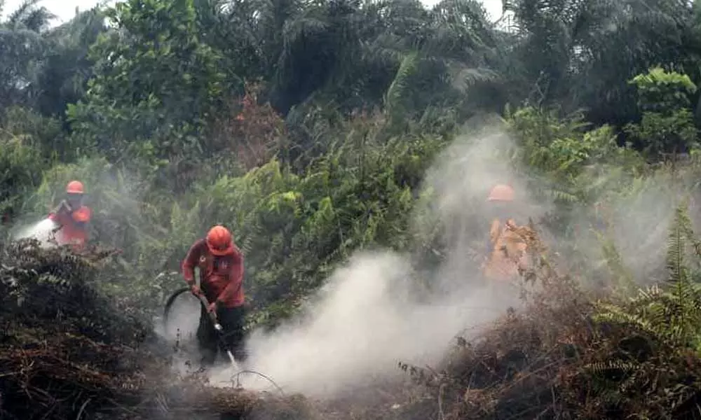Indonesia arrests nearly 200 over raging forest fires