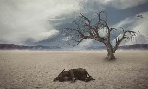 Severe mass-extinction occurred on Earth 260 million years ago: Study