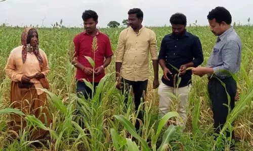 Farmers briefed on ways to fend off birds