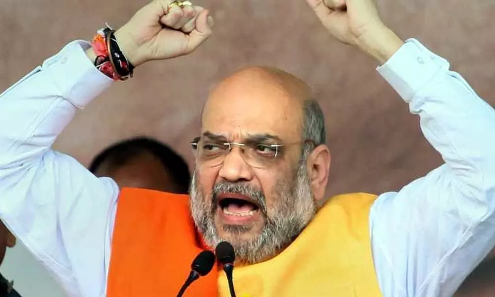 Always pitched for growth of regional languages, Hindi should be 2nd language: Shah