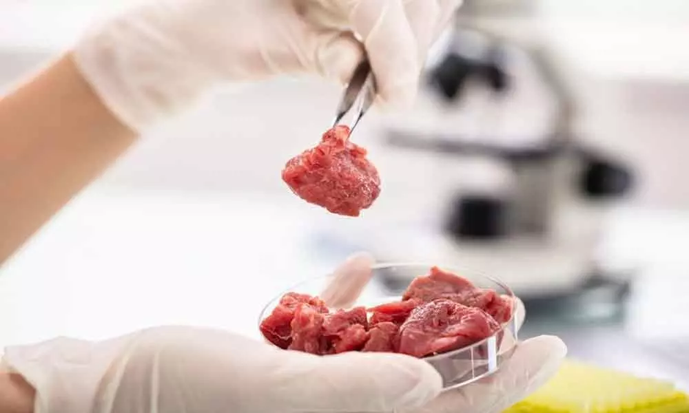 Proposals invited on clean meat tech