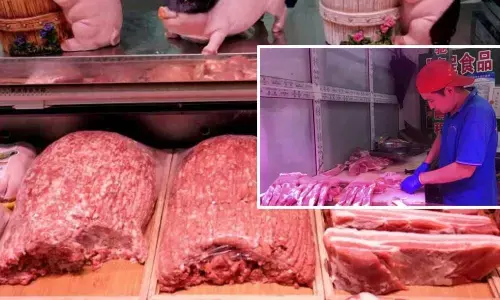 China releases stockpiled pork to cool price surge