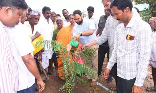Utilise 30-day action plan to transform thandas into model villages: Gadwal Collector Shashank