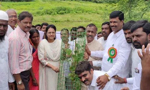 Haritha Haram conducted in Jinnaram mandal
