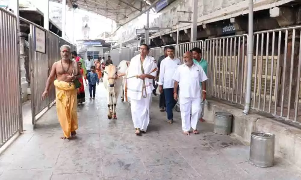 TTD Board member visits Vemulawada Sri Raja Rajeshwara Swamy temple