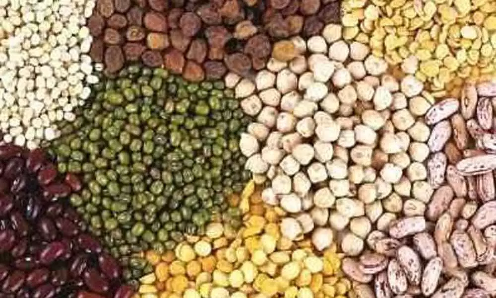 Task force formed to curb sale of adulterated seeds