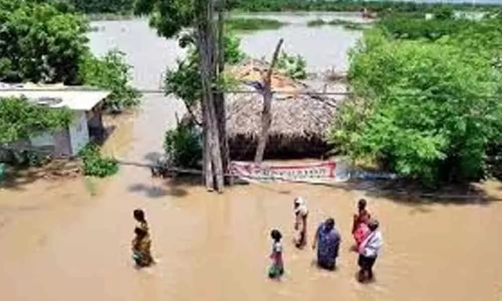 Flood-hit farmers seek compensation in Krishna district