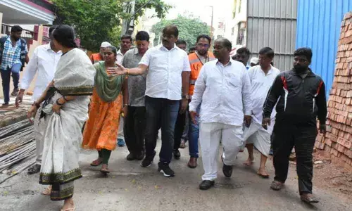 Mayor Bonthu Rammohan spreads awareness on dengue