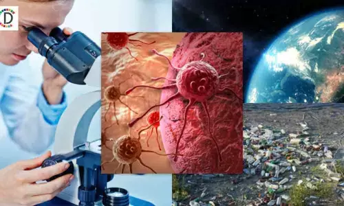 Earth has lost wilderness area the size of India since 90s: Study