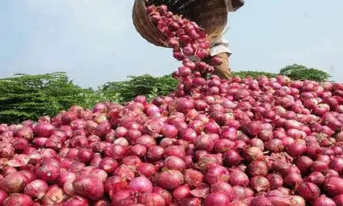 Farmers happy as onions sold at attractive price in Kurnool