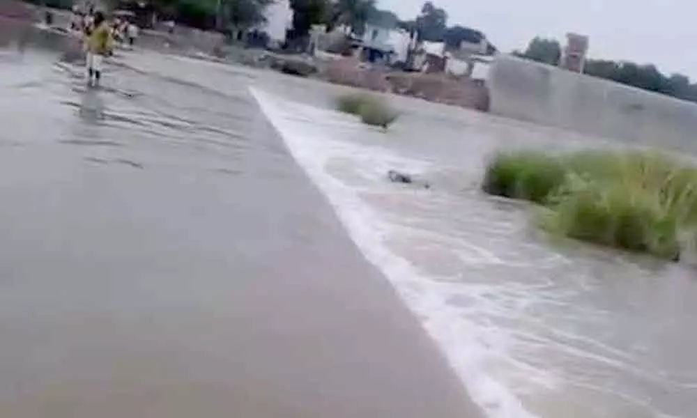Andhra Pradesh Heavy Rains: Kundu River in Kurnool District Is Flowing At An Alarming Rate