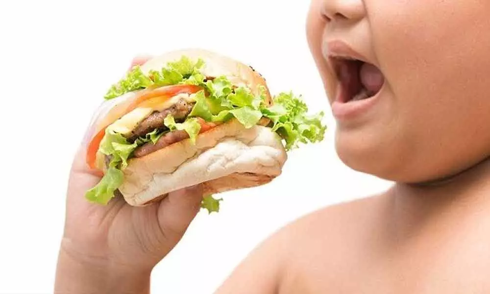 Junk food consumption may harm spatial memory: Study