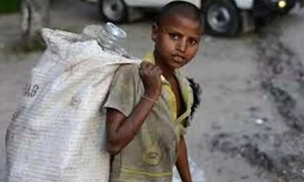 HC asks govt to follow action plan for eliminating child labour