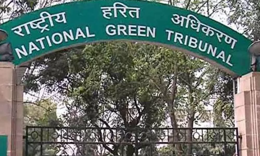 NGT seeks report on bed factory pollution  in Delhi