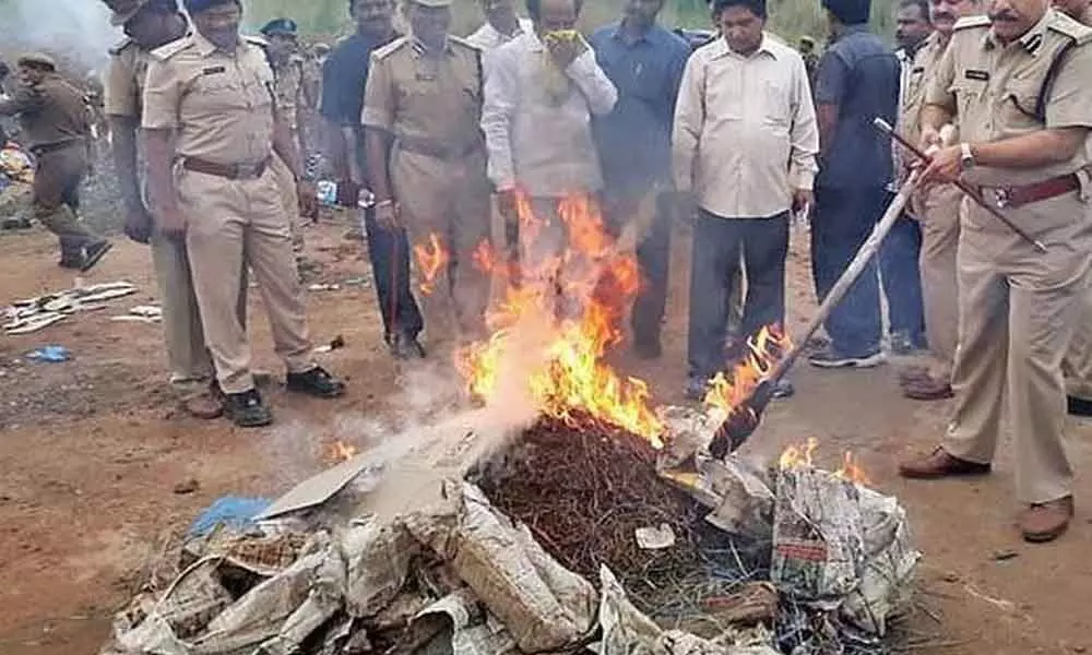 Vizag dist police destroy 63,879 kg of ganja