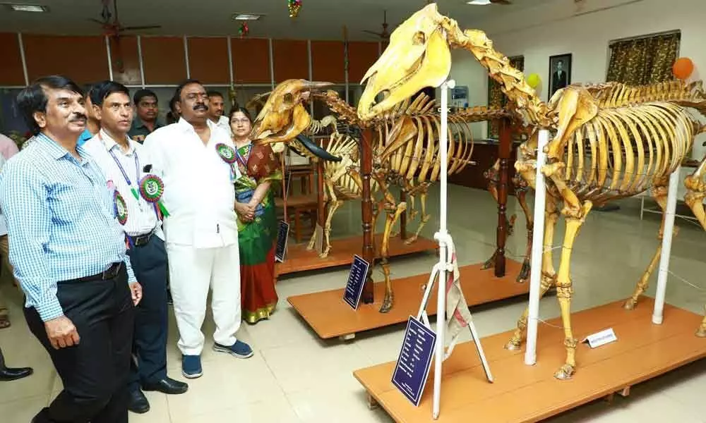 Open house exhibition launched  at SVVU in Tirupati