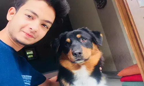 Guardian of the divagates